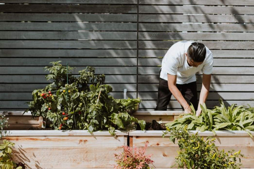 Gardening for Health: Five Great Tools to Help Break Ground on This Hobby | Grüner Wellness
